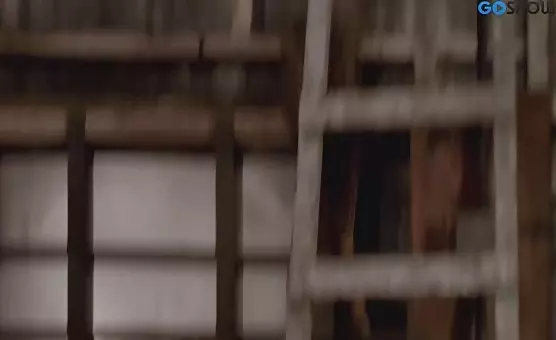 Hairy cunt craves anal stimulation and double penetration